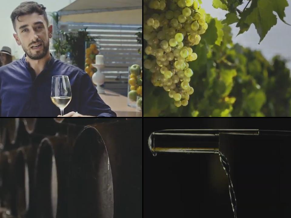 Vdeo promocional vinos de Jerez y manzanilla